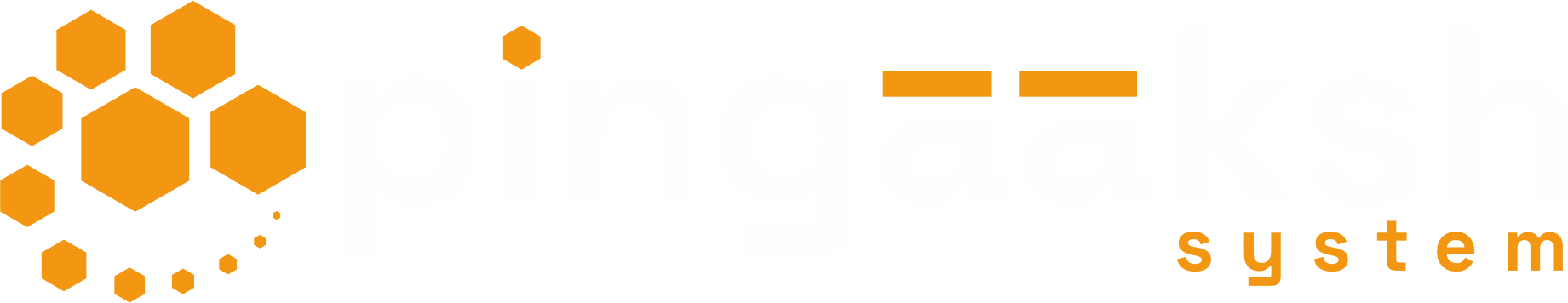 pingaakshsystem.com